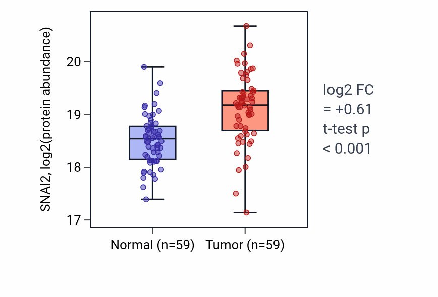 Tumor-vs-normal mass-spec protein box plot for SNAI2 in LSCC.