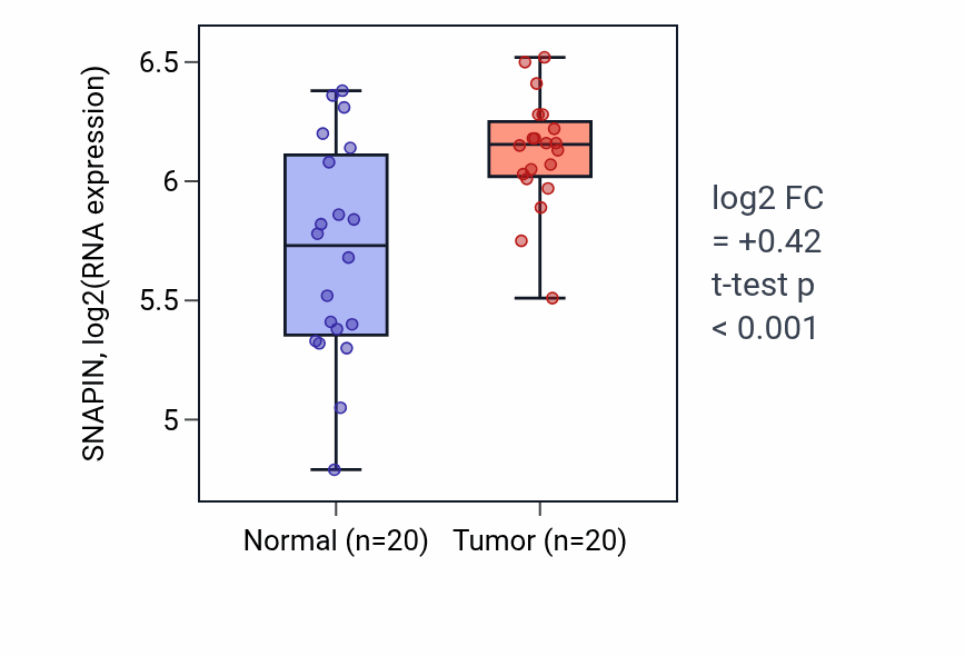 Tumor-vs-normal expression box plot for SNAPIN RNA in KIRC.