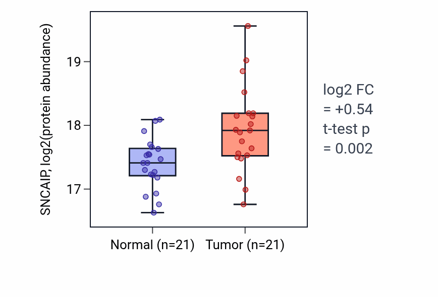 Tumor-vs-normal mass-spec protein box plot for SNCAIP in LSCC.