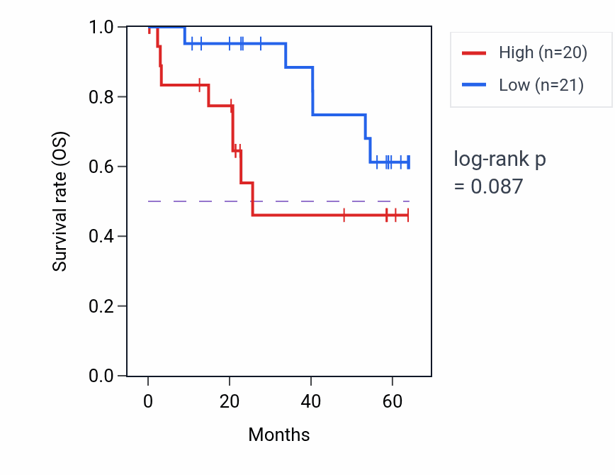 Kaplan&ndash;Meier survival curve for SNCG mass-spec protein-high vs -low samples in CCRCC.