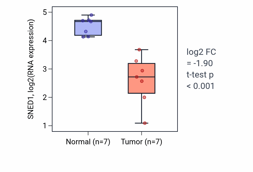 Tumor-vs-normal expression box plot for SNED1 RNA in THCA.