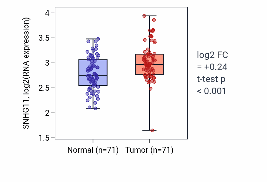 Tumor-vs-normal expression box plot for SNHG11 in KIRC.