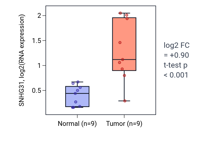 Tumor-vs-normal expression box plot for SNHG31 in LUAD.