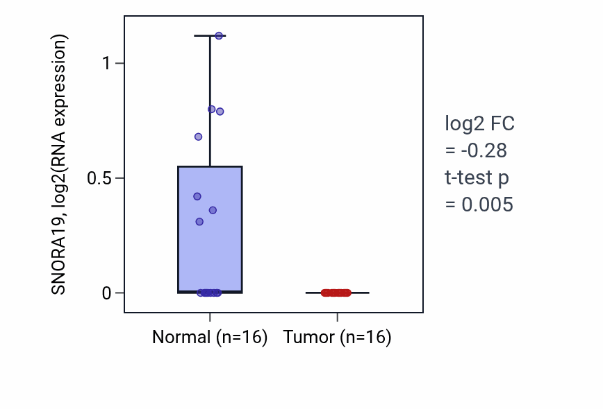 Tumor-vs-normal expression box plot for SNORA19 in KIRP.