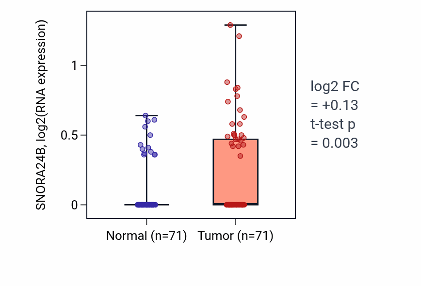 Tumor-vs-normal expression box plot for SNORA24B in KIRC.