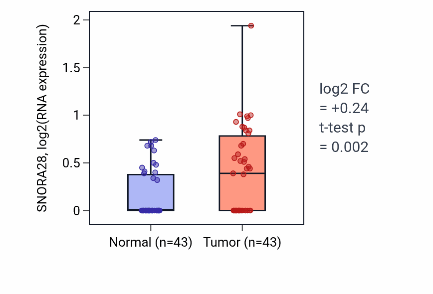 Tumor-vs-normal expression box plot for SNORA28 in HNSC.