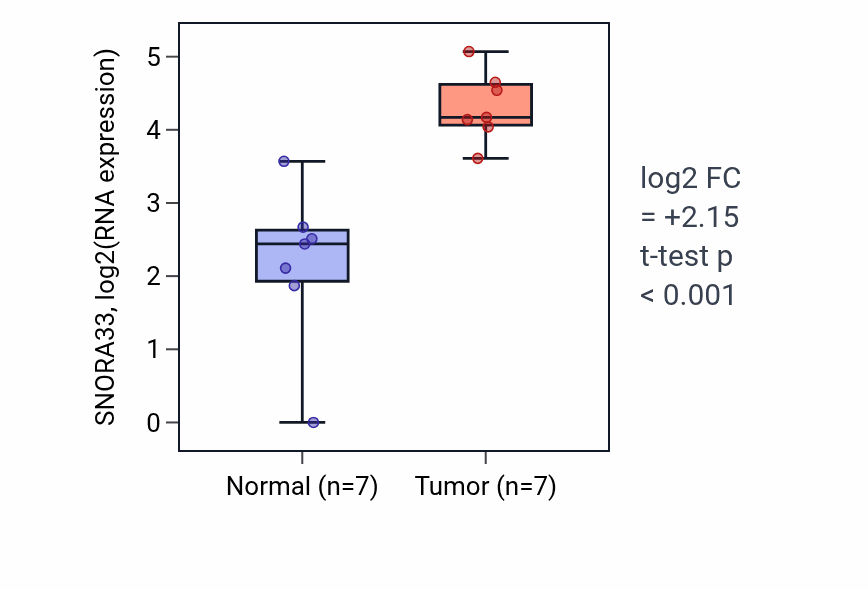 Tumor-vs-normal expression box plot for SNORA33 in BLCA.