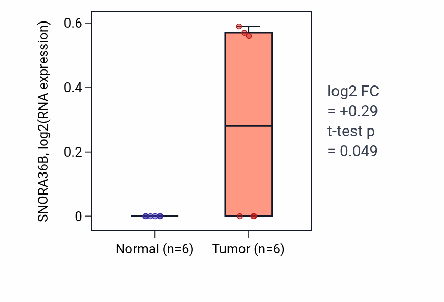 Tumor-vs-normal expression box plot for SNORA36B in LUSC.