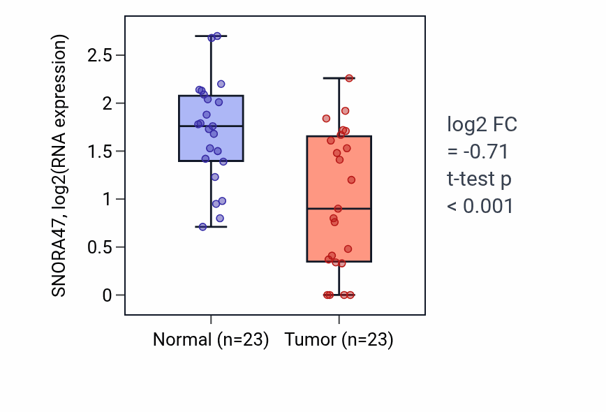 Tumor-vs-normal expression box plot for SNORA47 RNA in THCA.