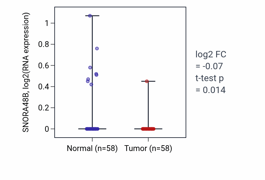 Tumor-vs-normal expression box plot for SNORA48B in THCA.