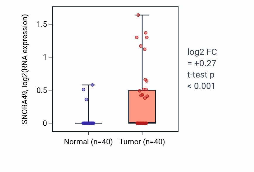 Tumor-vs-normal expression box plot for SNORA49 in HNSC.