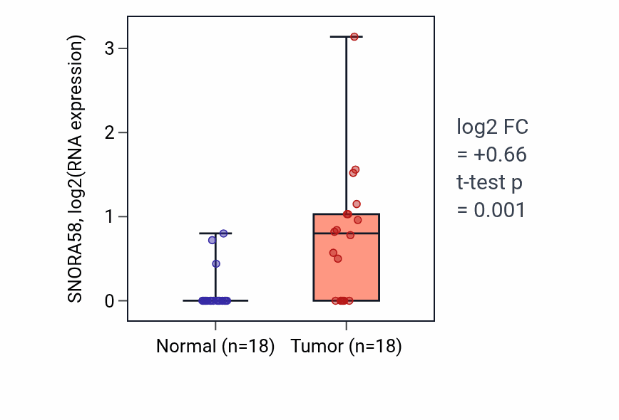 Tumor-vs-normal expression box plot for SNORA58 in BLCA.