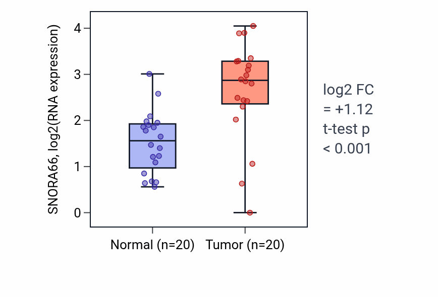 Tumor-vs-normal expression box plot for SNORA66 in COAD.