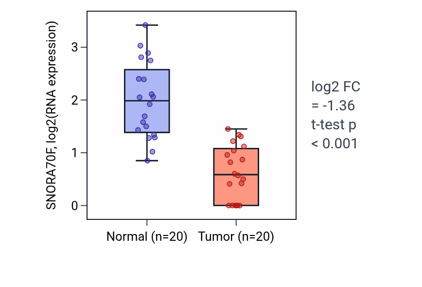 Tumor-vs-normal expression box plot for SNORA70F in KIRC.