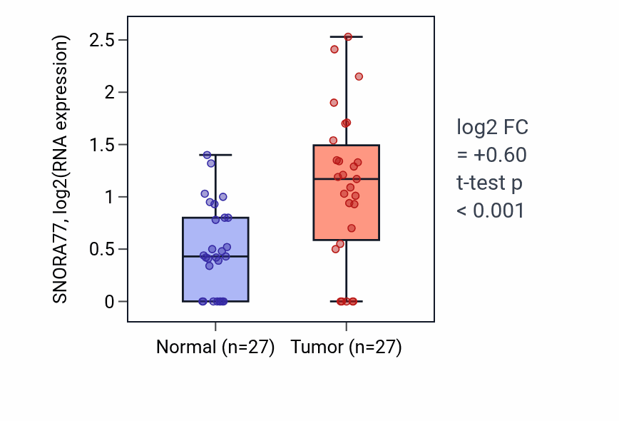 Tumor-vs-normal expression box plot for SNORA77 in HNSC.