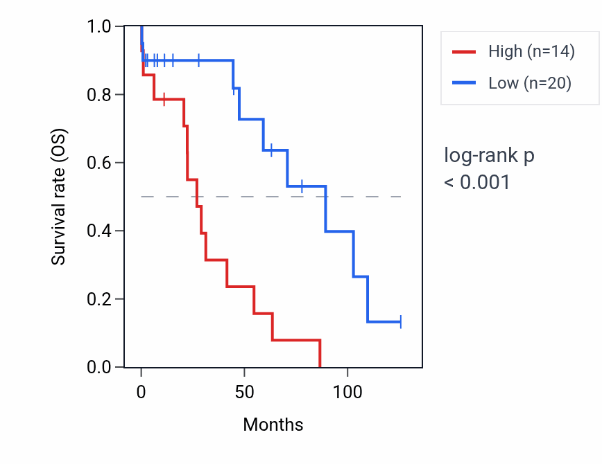 Kaplan&ndash;Meier survival curve for SNORA80A RNA expression in OV: high vs low expression groups.