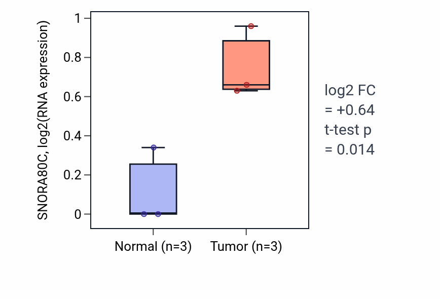 Tumor-vs-normal expression box plot for SNORA80C in ESCA.