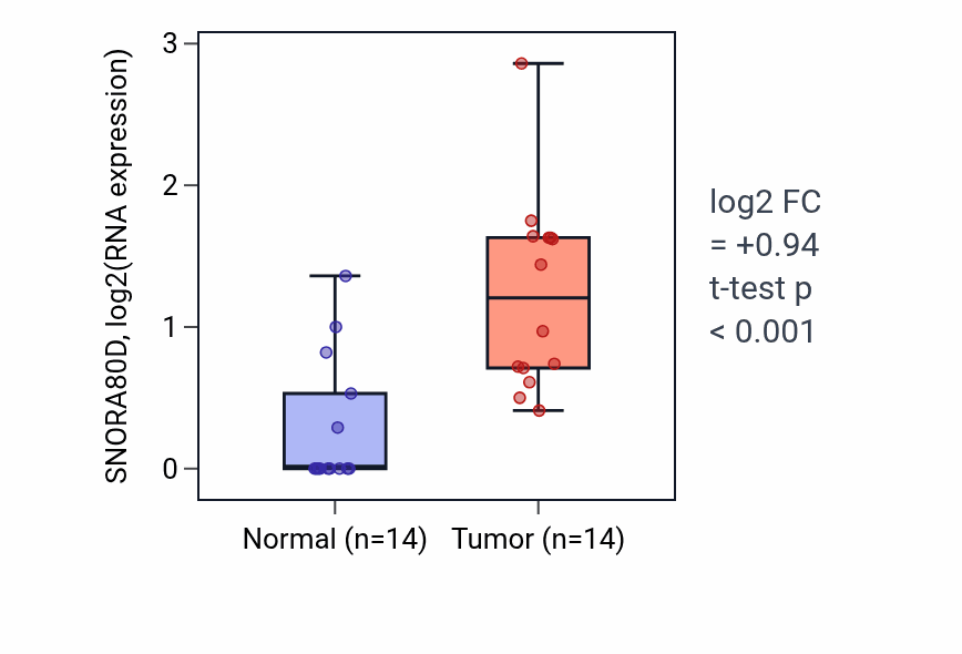 Tumor-vs-normal expression box plot for SNORA80D in STAD.