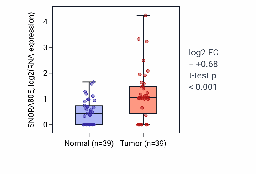 Tumor-vs-normal expression box plot for SNORA80E in COAD.
