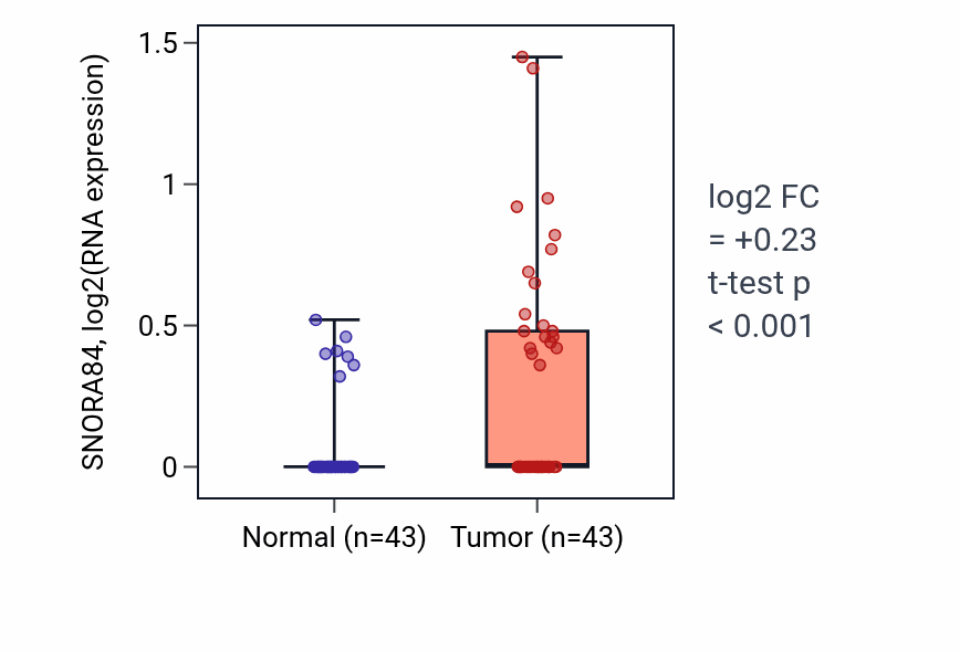 Tumor-vs-normal expression box plot for SNORA84 in HNSC.