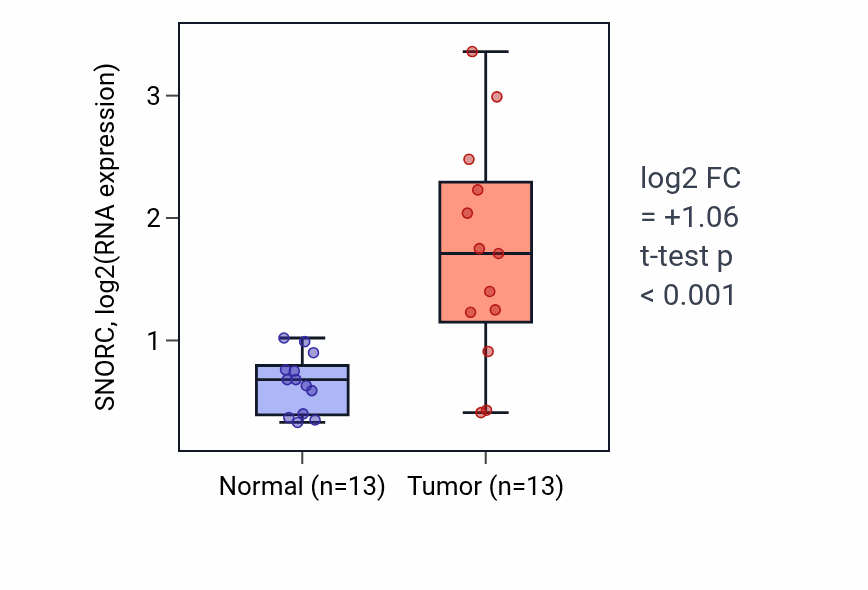 Tumor-vs-normal expression box plot for SNORC RNA in KIRC.