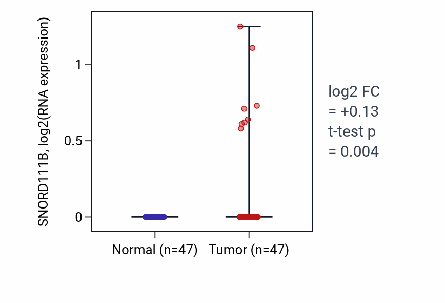 Tumor-vs-normal expression box plot for SNORD111B in KIRC.