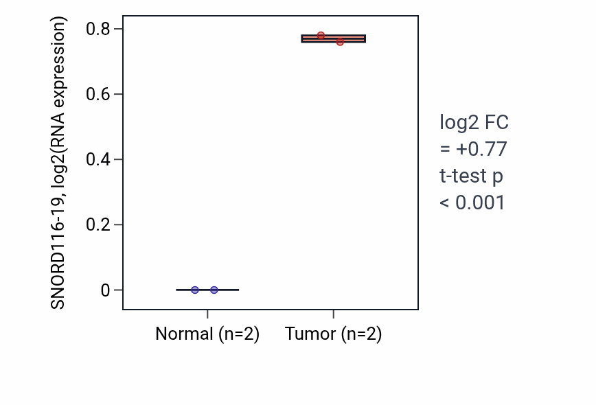 Tumor-vs-normal expression box plot for SNORD116-19 in READ.