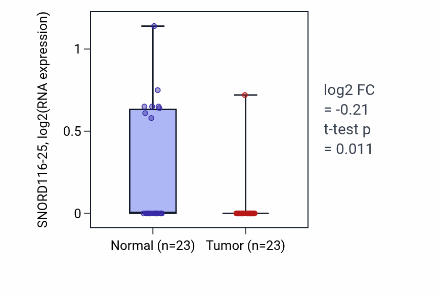 Tumor-vs-normal expression box plot for SNORD116-25 in THCA.