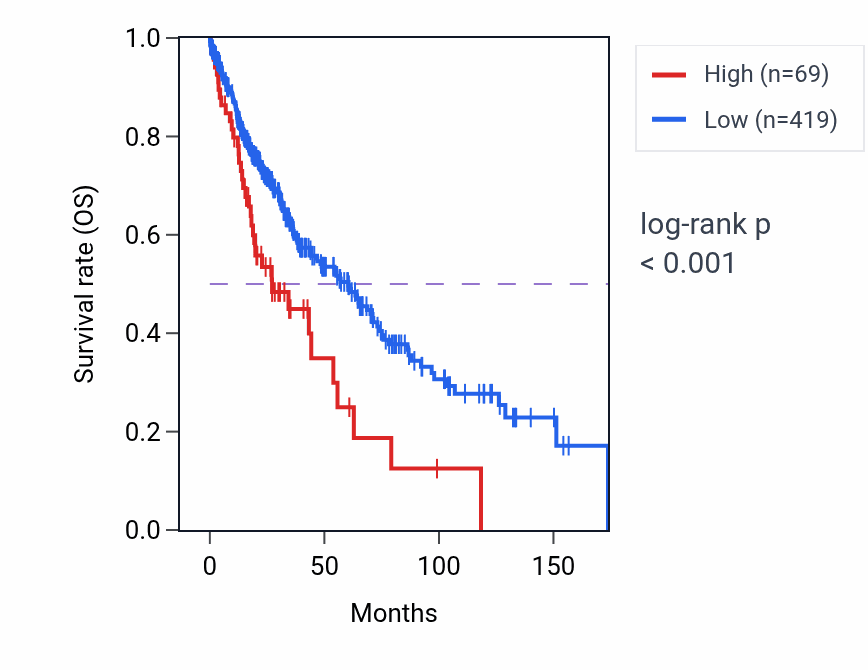 Kaplan&ndash;Meier survival curve for SNORD13P3 RNA expression in LUSC: high vs low expression groups.