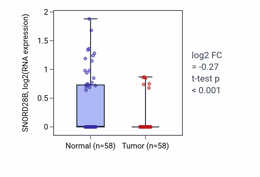 Tumor-vs-normal expression box plot for SNORD28B in THCA.