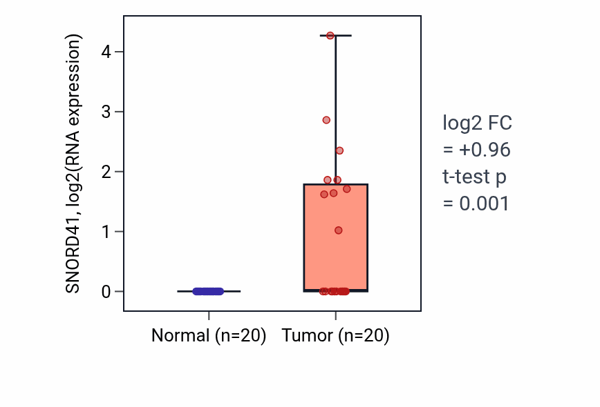 Tumor-vs-normal expression box plot for SNORD41 in COAD.