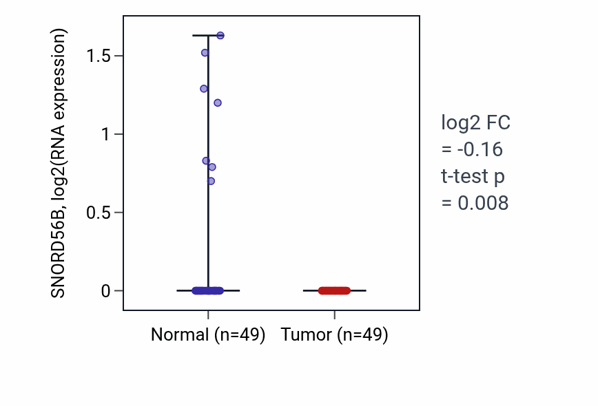 Tumor-vs-normal expression box plot for SNORD56B in LUSC.