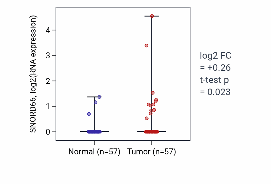 Tumor-vs-normal expression box plot for SNORD66 in LUAD.
