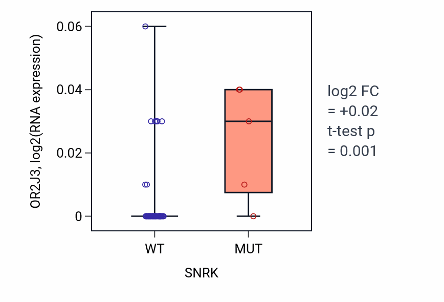 Box plot of OR2J3 in SNRK-low vs SNRK-high samples in OVARY.