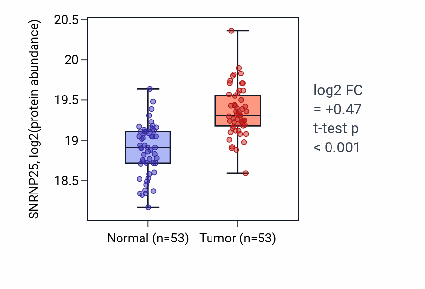 Tumor-vs-normal mass-spec protein box plot for SNRNP25 in LSCC.