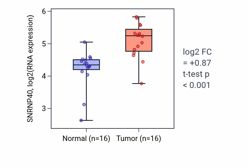 Tumor-vs-normal expression box plot for SNRNP40 RNA in HNSC.