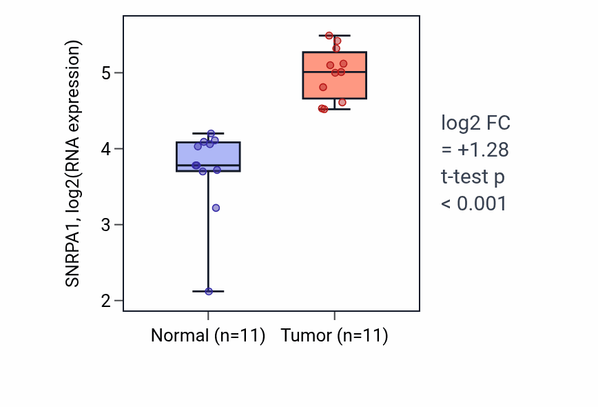 Tumor-vs-normal expression box plot for SNRPA1 RNA in HNSC.