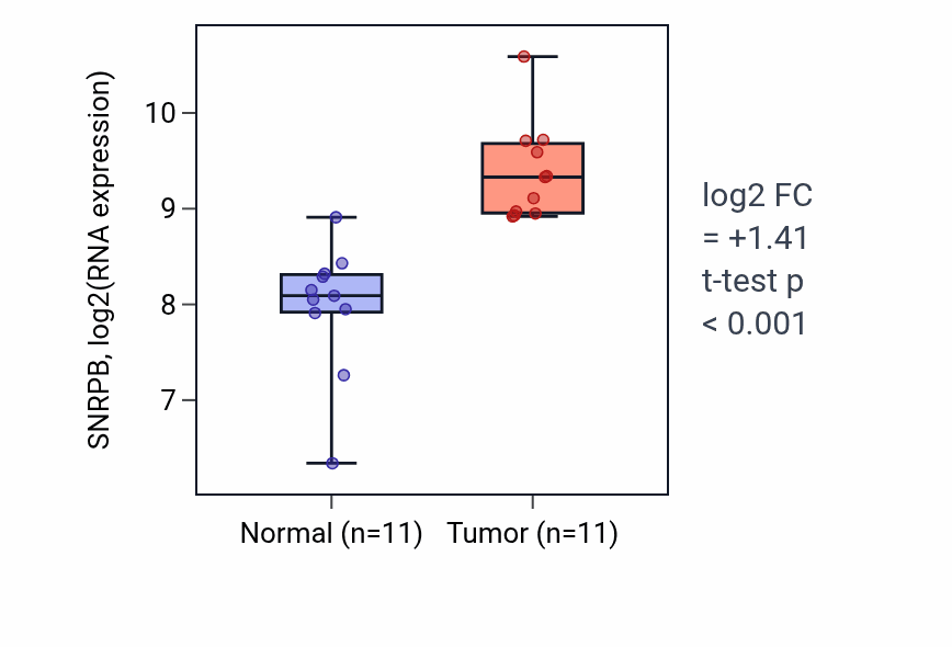 Tumor-vs-normal expression box plot for SNRPB RNA in HNSC.