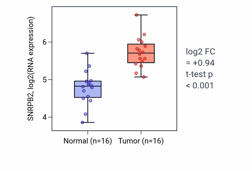 Tumor-vs-normal expression box plot for SNRPB2 RNA in HNSC.
