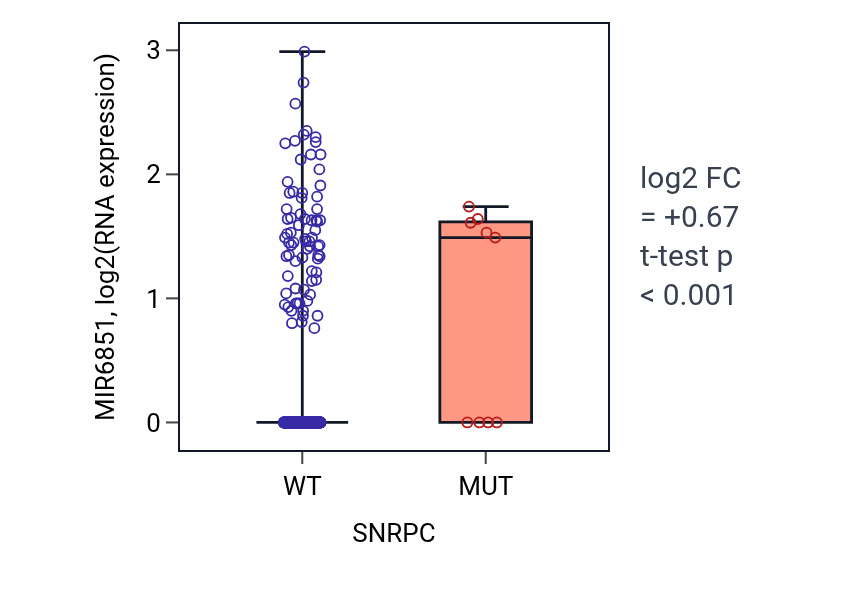 Box plot of MIR6851 in SNRPC-low vs SNRPC-high samples in UCEC.