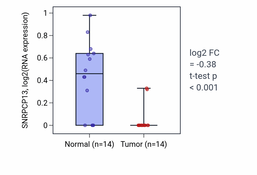 Tumor-vs-normal expression box plot for SNRPCP13 in LUSC.