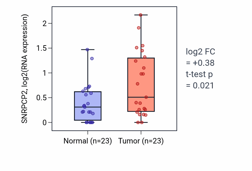 Tumor-vs-normal expression box plot for SNRPCP2 in UCEC.