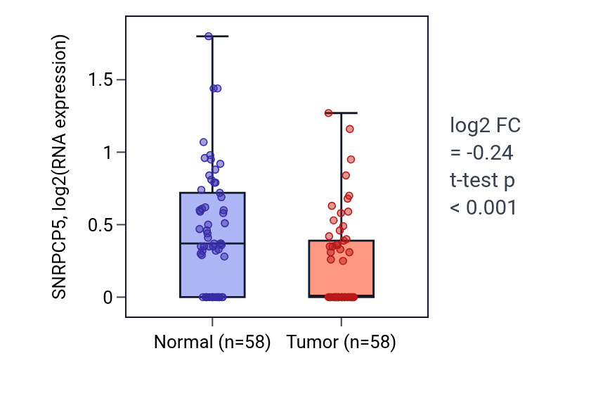 Tumor-vs-normal expression box plot for SNRPCP5 in THCA.