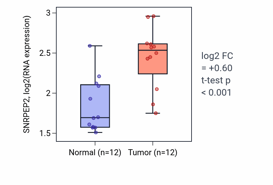 Tumor-vs-normal expression box plot for SNRPEP2 in KIRC.