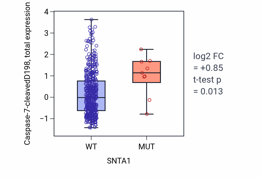 Box plot of Caspase-7-cleavedD198 in SNTA1-low vs SNTA1-high samples in UCEC.