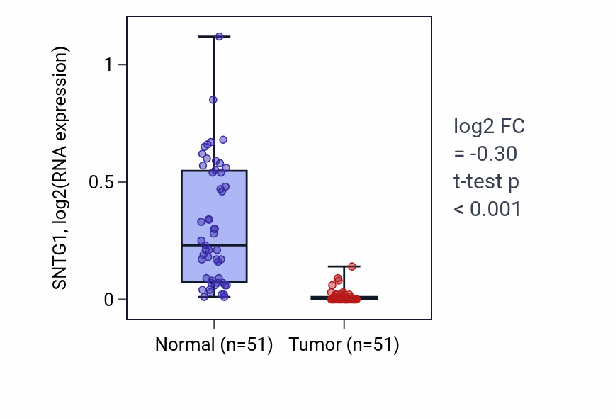 Tumor-vs-normal expression box plot for SNTG1 in KIRC.