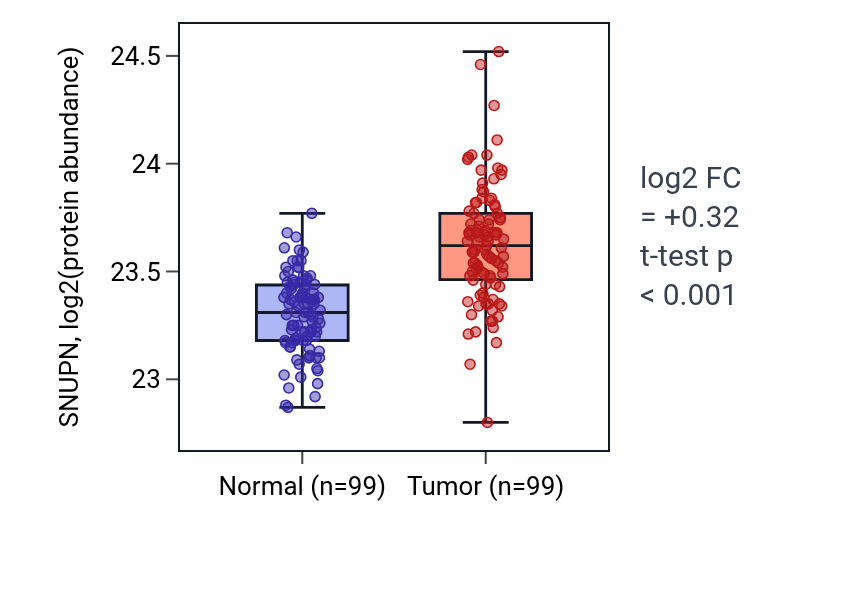 Tumor-vs-normal mass-spec protein box plot for SNUPN in LSCC.