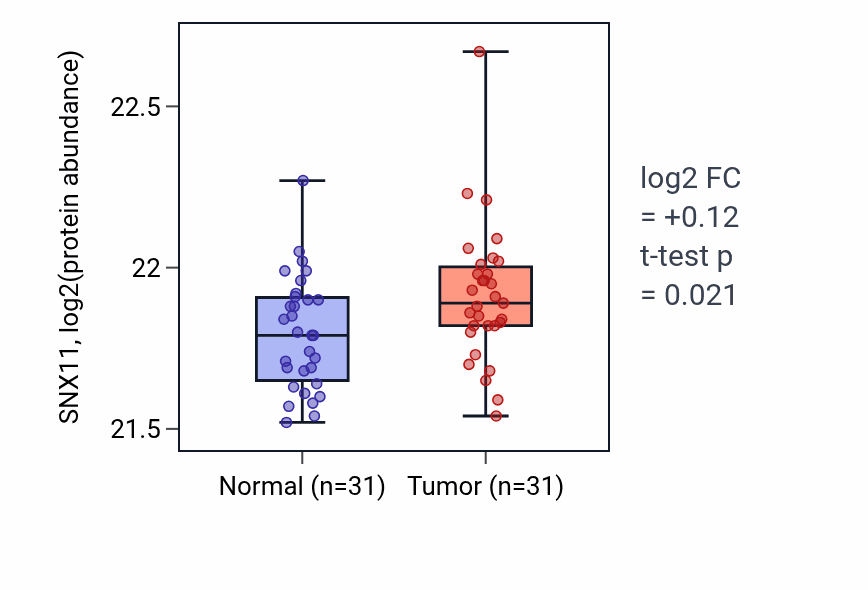 Tumor-vs-normal mass-spec protein box plot for SNX11 in LUAD.