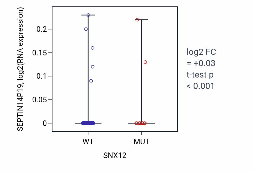 Box plot of SEPTIN14P19 in SNX12-low vs SNX12-high samples in UCEC.