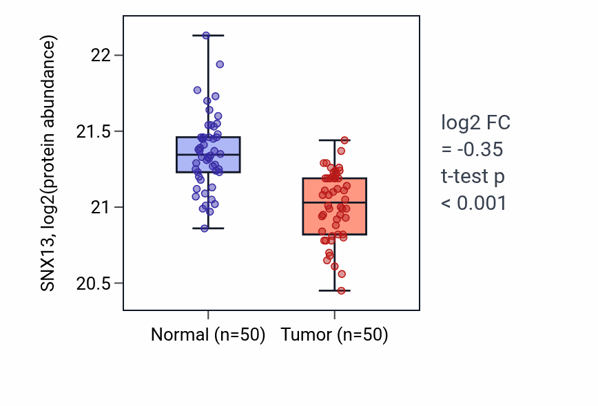 Tumor-vs-normal mass-spec protein box plot for SNX13 in LSCC.